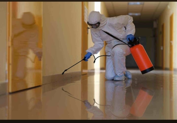 whatsapp image 2025 09 14 at 2.08.35 pm